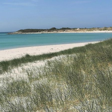 Guest House Dans Jardin Exotique Proche D'Une Voie Verte Morlaix Eksteriør billede
