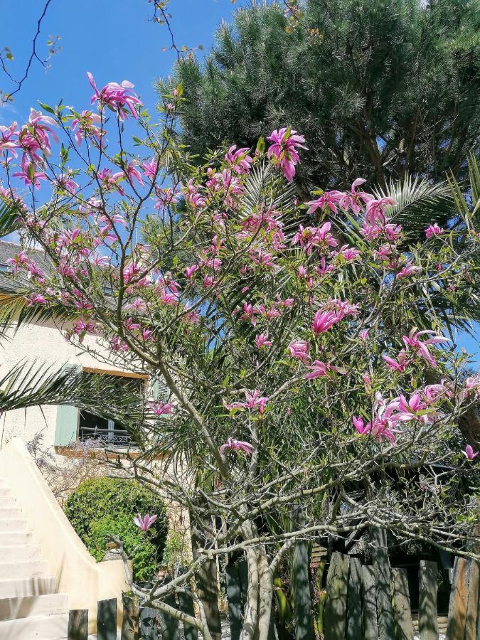 Guest House Dans Jardin Exotique Proche D'Une Voie Verte Morlaix Eksteriør billede