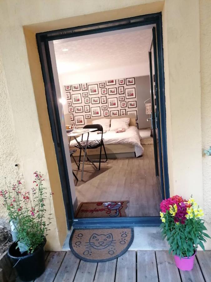 Guest House Dans Jardin Exotique Proche D'Une Voie Verte Morlaix Eksteriør billede